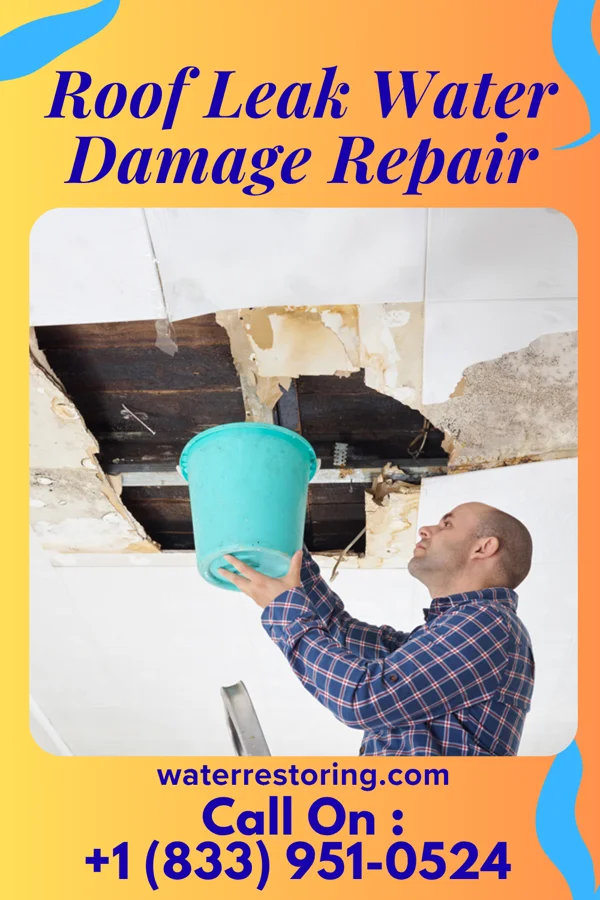 Roof Leak Water Damage Repair in Granville, IL